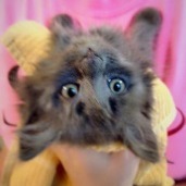 Fundraising Page: Randa Richter